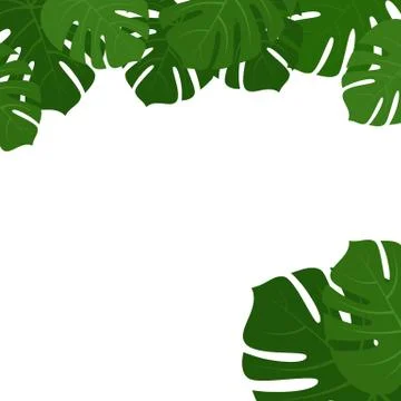 Tropical monstera leaves frame Illustrazione stock