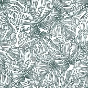 Tropical monstera leaves seamless pattern. Botanical leaf Stock Illustration