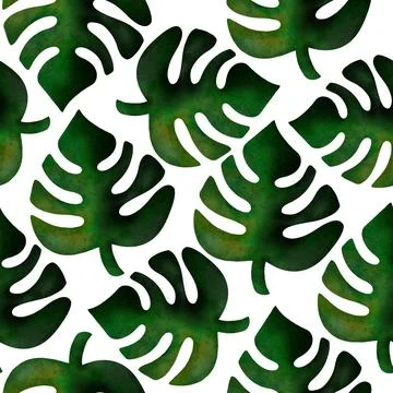 Tropical Monstera Leaves Seamless Pattern on White Background Stock Illustration