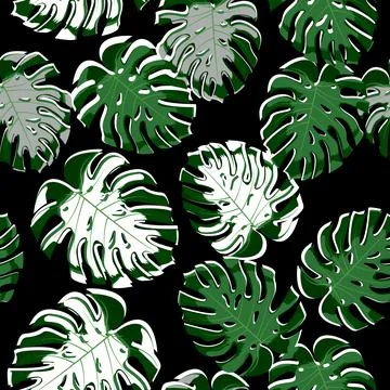 Tropical monstera seamless pattern. Stock Illustration