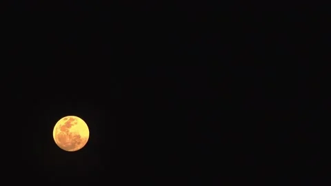 Tropical Moon Rise Stock-Footage 196919904