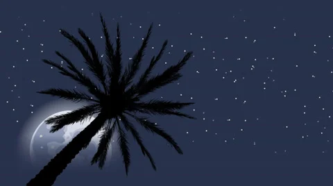 Tropical Moonrise Stock Footage 37614639