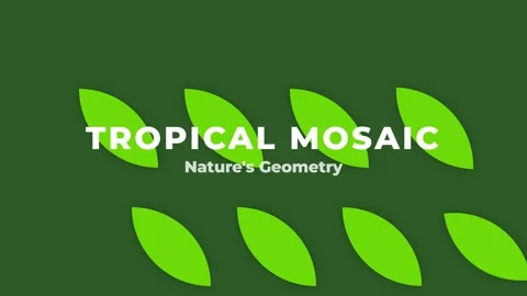 Tropical mosaic geometric pattern design background for nature branding Stock Footage 337655561