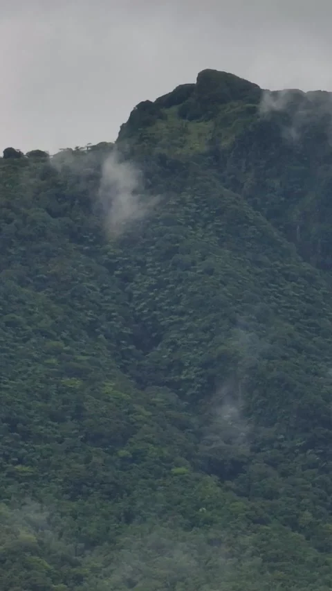 Tropical mountain in Camiguin, Philippines. Stock Footage 253454691