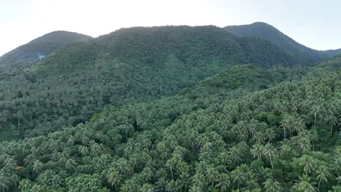 Tropical Mountain Flyto Stock Footage 259718416
