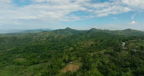 Tropical Mountain with forest. Philippines. Stock Footage 247615084