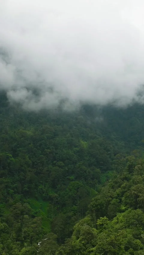 Tropical mountain in Mindanao, Philippines. Stock Footage 245911989