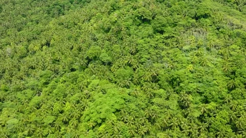 Tropical Mountain in Mindanao, Philippines. Stock Footage 250855236