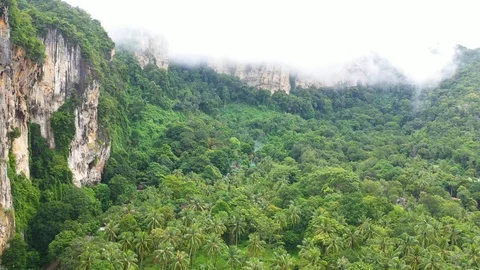 Tropical mountain mist, drone view, in Krabi, Thailand. Stock Footage 124526166