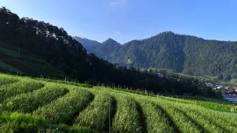 Tropical mountain peaks during a vibrant sunrise in Java, Indonesia. Video stock 332539448