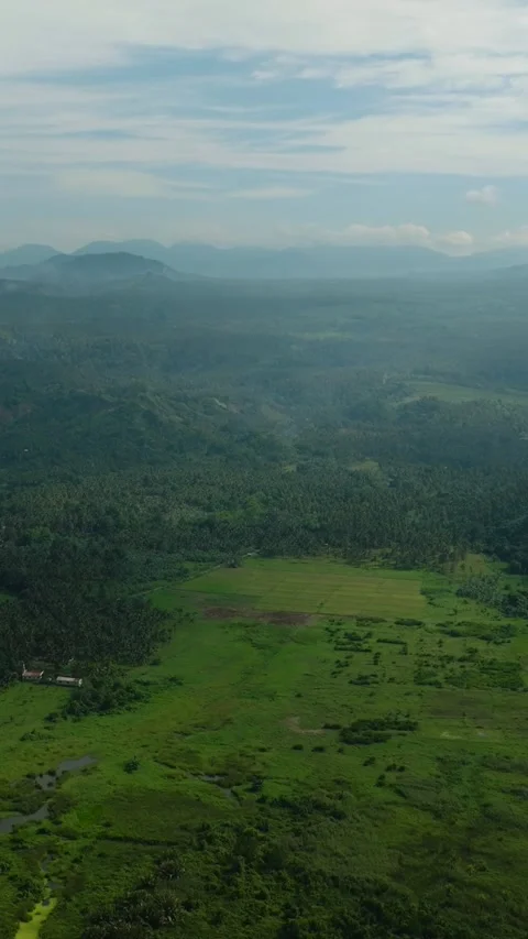 Tropical mountain in the Philippines. Stock Footage 321623909