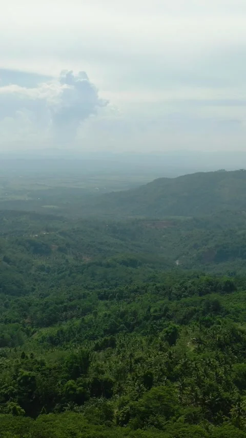 Tropical mountain in the Philippines. Stock Footage 321715710
