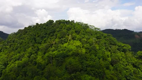 Tropical mountain range and mountain slopes with rainforest. Sri Lanka. Stock Footage 201123004