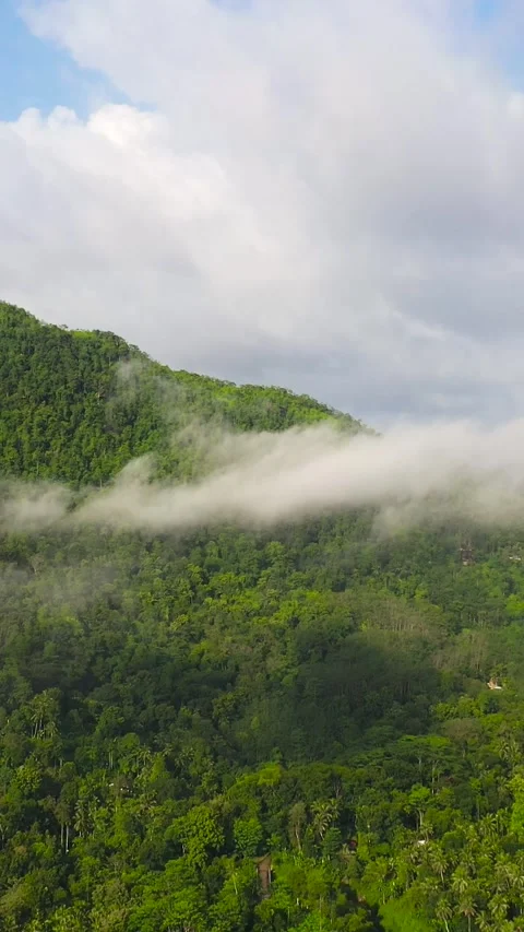 Tropical mountain range and mountain slopes with rainforest. Sri Lanka. Stock Footage 252482357