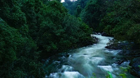 Tropical Mountain River Long Exposure Time lapse Vídeos de archivo 79421096