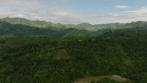 Tropical Mountain with river in the Philippines. Stock Footage 311383318
