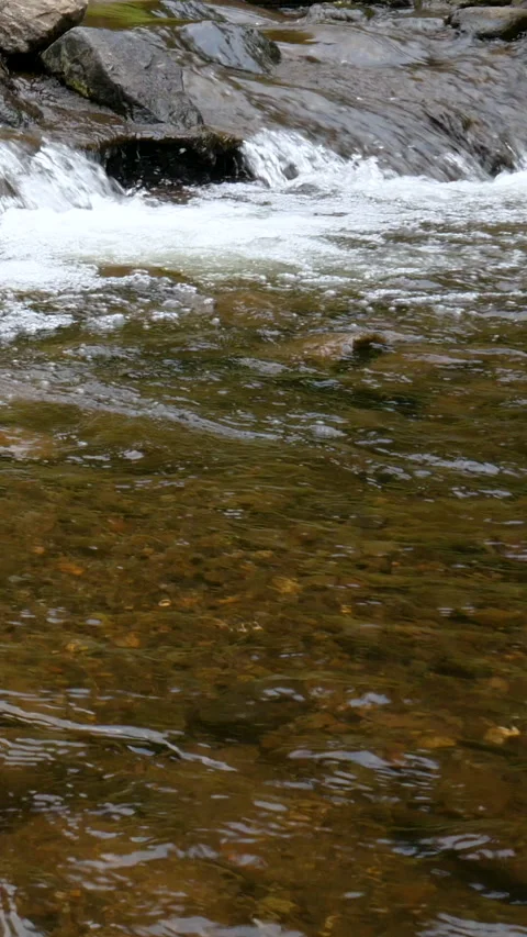Tropical Mountain River With Smooth Motion Stock Footage 329231379