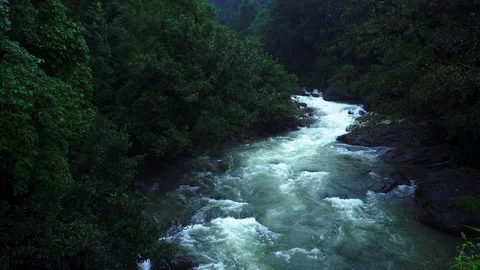 Tropical Mountain River Surrounded by Lush green Trees Stockbeeldmateriaal 79421581