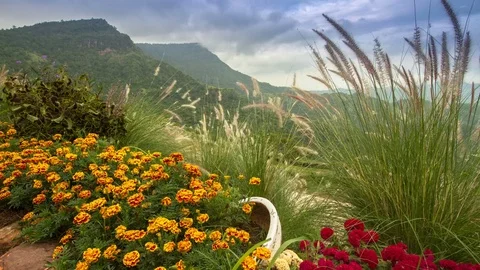 Tropical mountain scenery Stock Footage 76206915