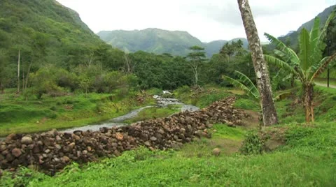Tropical Mountain Stream Видео 10713250
