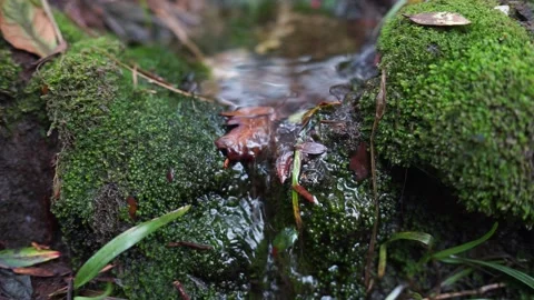 Tropical mountain water flow Stock-Footage 233372101
