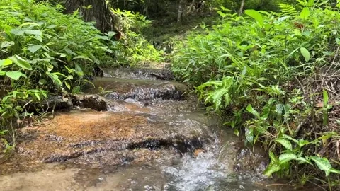 Tropical mountain waterfall in rainforest. Small cascade water from rocks.S.. Stock Footage 252669372