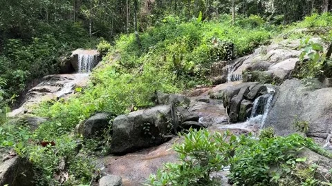 Tropical mountain waterfall in rainforest. Small cascade water from rocks.S.. Video stock 252669375