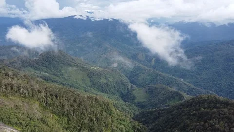 Tropical Mountainous Jungle Stock Footage 171732587
