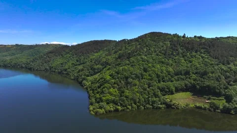 Tropical Mountains Covered With Dense Trees Stock Footage 312545960