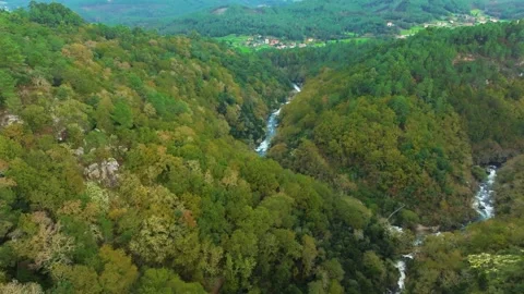 Tropical Mountains Densely Covered With Forests In Toxa River Stock Footage 257555186