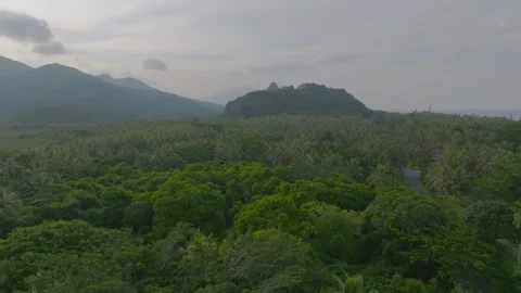 Tropical mountains Vidéo 345024939