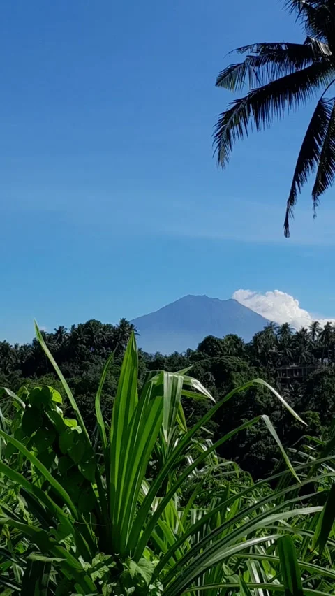 Tropical mountainside scene  Stock Footage 320672482