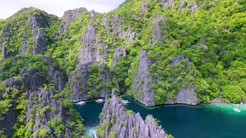 TROPICAL NATURE Video stock 244759025