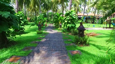 Tropical nature on Java Indonesia 動画素材 85541305