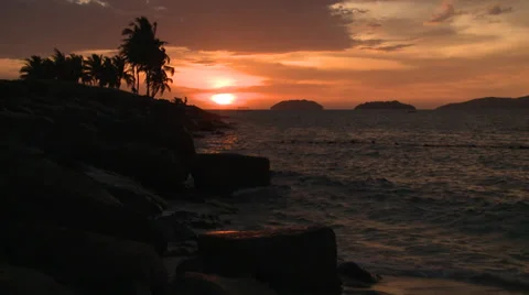 Tropical Night - HD Видео 35349377