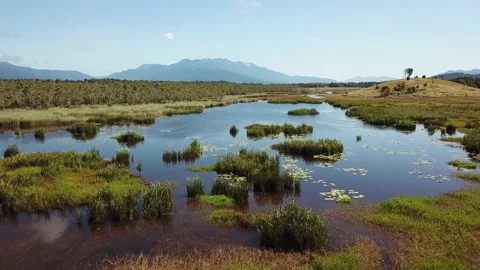 Tropical North Queensland Eubenangee Swamp Aerial 2 Stock Footage 149274239