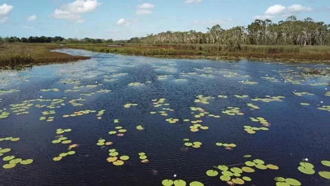 Tropical North Queensland Eubenangee Swamp Aerial 4 Stock Footage 149274256