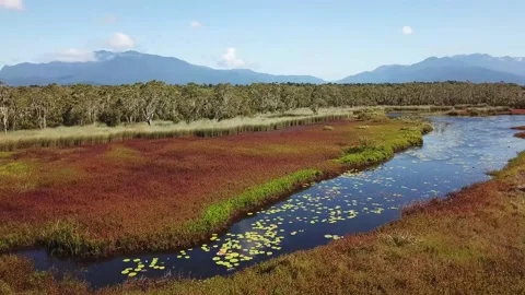 Tropical North Queensland Eubenangee Swamp Aerial 1 Stock Footage 149274277