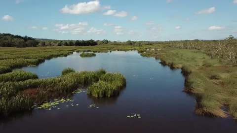 Tropical North Queensland Eubenangee Swamp Aerial 3 Stock Footage 149274291