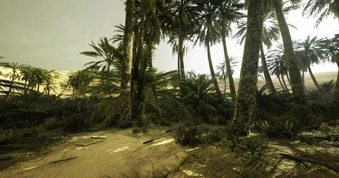 Tropical oasis with palm trees and sandy landscape under soft lighting Stock Illustration