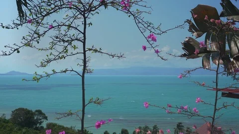 Tropical ocean beach landscape view through violet flowers. Paradise tropical 4K Stock Footage 108215809