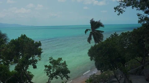 Tropical ocean beach landscape view through palm leaves grove. Paradise, Dream Stock Footage 108215869