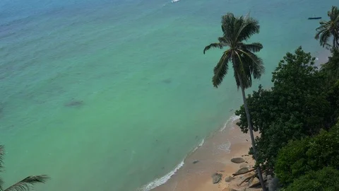 Tropical ocean beach landscape view through palm leaves grove. Paradise, Dream Stock Footage 108218099