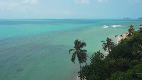 Tropical ocean beach landscape view through palm leaves grove. Paradise, Dream Stock Footage 108218117