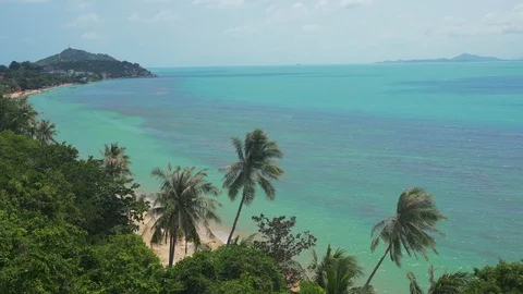 Tropical ocean beach landscape view through palm leaves grove. Paradise, Dream Stock Footage 108218374