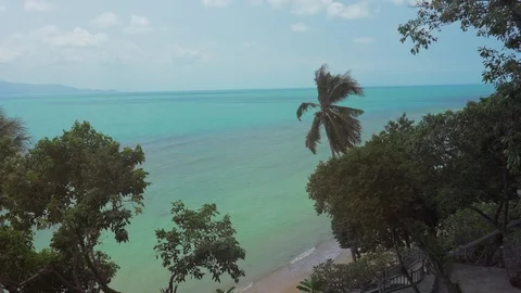 Tropical ocean beach landscape view through palm leaves grove. Paradise, Dream Stock Footage 108218780