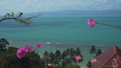 Tropical ocean beach landscape view through violet flowers. Paradise tropical 4K Stock Footage 108219339