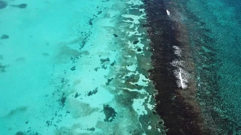 Tropical Ocean Beach Reef Aerial Stock Footage