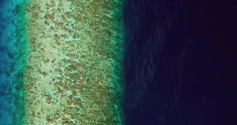 Tropical Ocean Gradient Reef Line Top Down Drone Shot Stock Footage 335647086