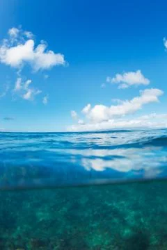 Tropical ocean, split view half over half underwater Stock Photos